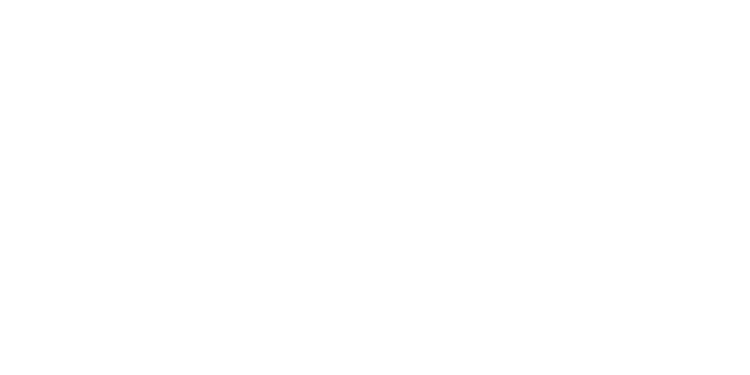 Car Repairs and Diagnostics
